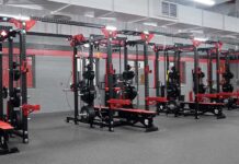 How Stray Dog Fitness Can Turn You into a Howling Success no-1